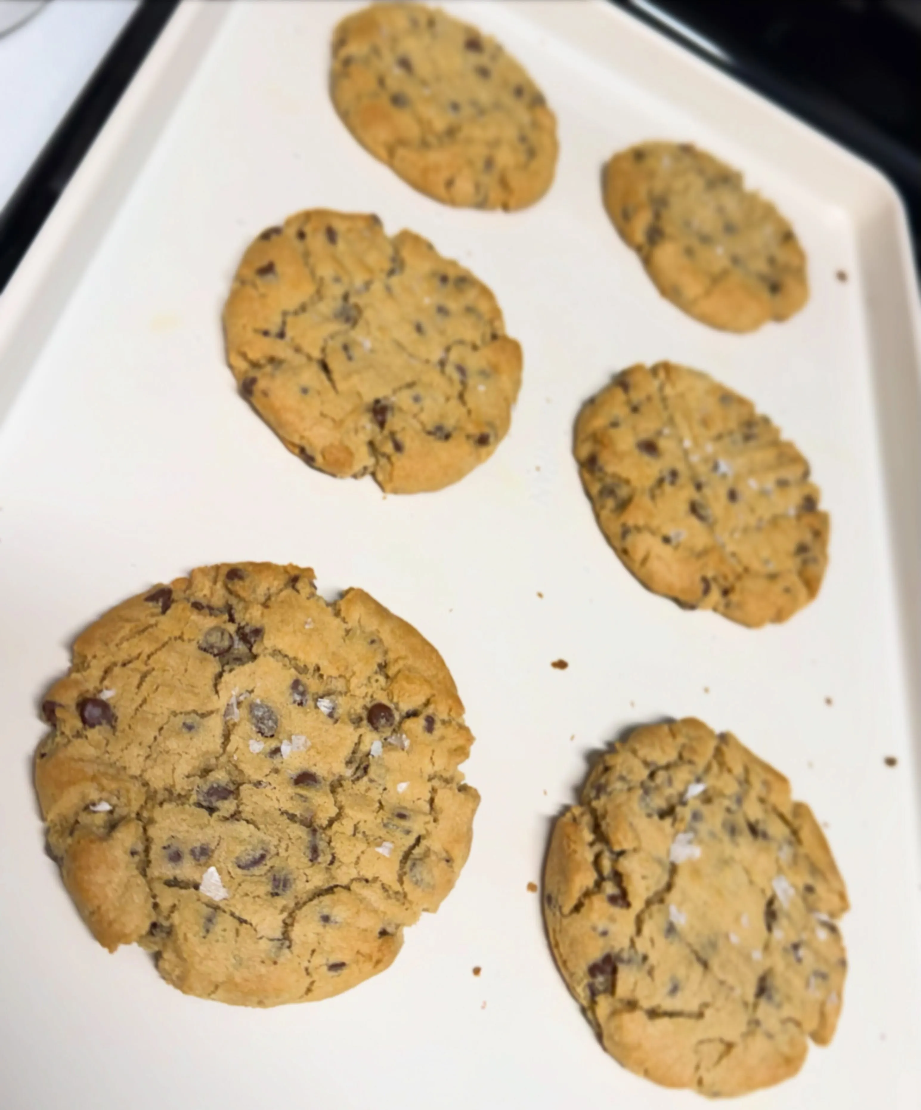Anchor & Tide: peanut butter chocolate chip